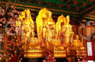 Golden buddha statue in Chinese temple in Thailand