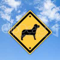 A dog sign on beautiful sky background.