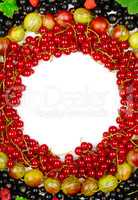 background of red and black currants, gooseberries, raspberries