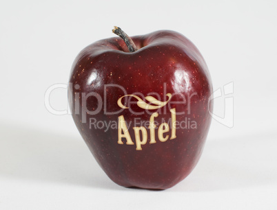 Roter Apfel mit der Aufschrift Apfel