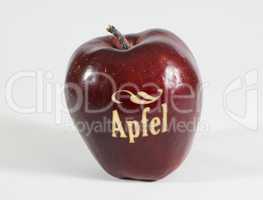 Roter Apfel mit der Aufschrift Apfel