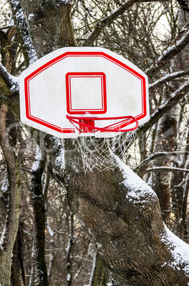 Basketball basket in snow