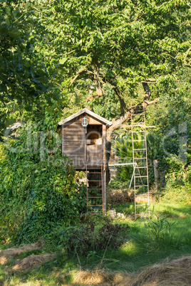 Baumhaus im Sommer