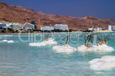 Beautiful coast of the Dead Sea .