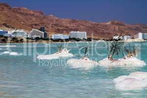 Beautiful coast of the Dead Sea .