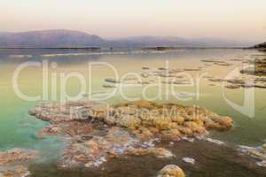 Beautiful coast of the Dead Sea .