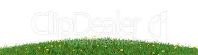 Spring time background with grass on white