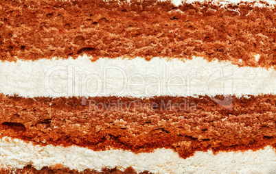 Texture of the cake