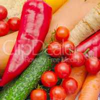 bright background of ripe vegetables and herbs