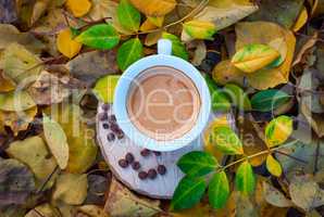cup of black coffee espresso among the yellow fallen leaves
