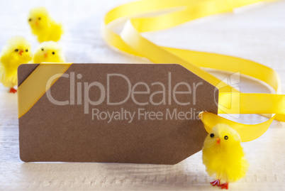 Easter Label, Chicks, Copy Space For Advertisement