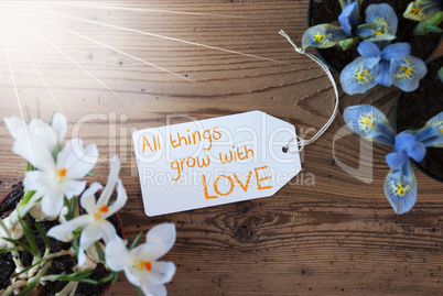 Sunny Flowers, Label, Quote All Things Grow With Love