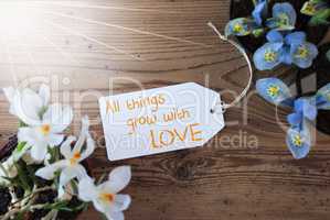Sunny Flowers, Label, Quote All Things Grow With Love
