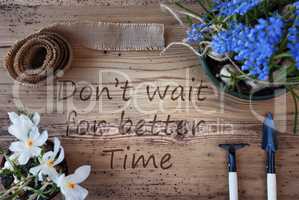 Spring Flowers, Quote Dont Wait For Better Time