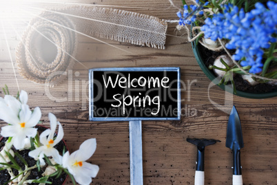 Sunny Flowers, Sign, Text Welcome Spring