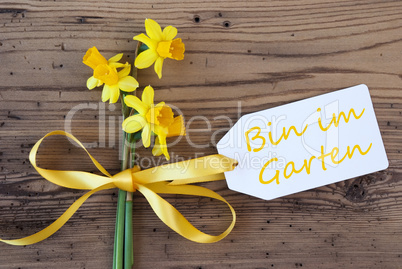 Narcissus, Label, Bin Im Garten Means In The Garden