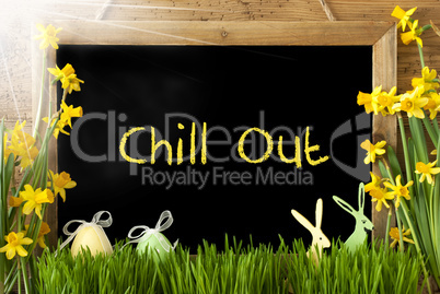 Sunny Narcissus, Easter Egg, Bunny, Text Chill Out