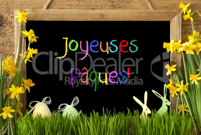 Narcissus, Egg, Bunny, Colorful Joyeuses Paques Means Happy Easter