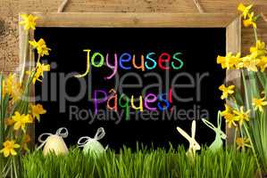 Narcissus, Egg, Bunny, Colorful Joyeuses Paques Means Happy Easter