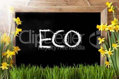 Sunny Spring Narcissus, Chalkboard, Text Eco