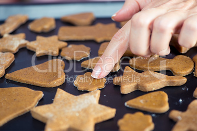 Raw Christmas cookies