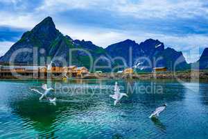 Lofoten archipelago