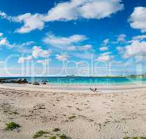 Beach Lofoten archipelago islands beach