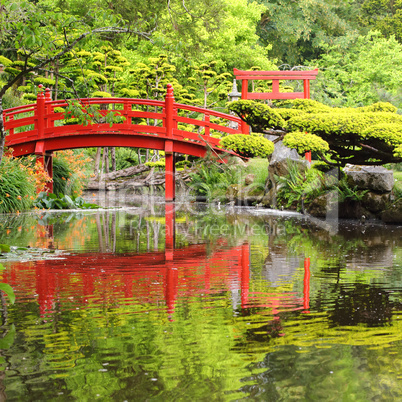 Red bridge in Japanese garden