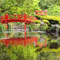 Red bridge in Japanese garden
