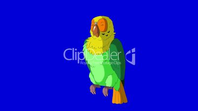 Green Parrot Gets Angry. Classic Handmade Animation