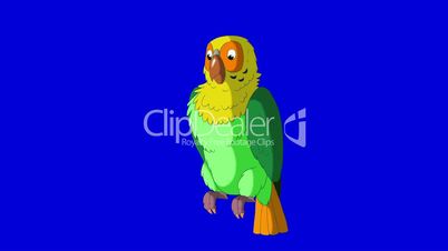 Green Parrot Greets. Classic Handmade Animation