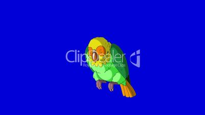 Green Parrot Wakes Up. Classic Handmade Animation