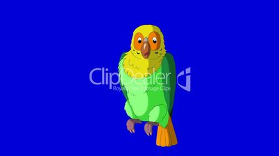 Green Parrot Cleans Feathers. Classic Handmade Animation.