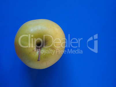 green apple fruit food over blue with copy space