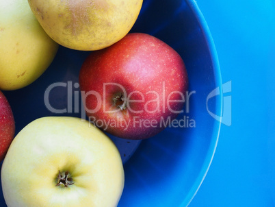 yellow and red apple fruit food over blue