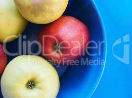 yellow and red apple fruit food over blue