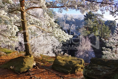 Elbsandsteingebirge im Winter  - Elbe sandstone mountains in winter