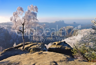 Elbsandsteingebirge im Winter Carolafelsen - Elbe sandstone mountains in winter, Carolarock