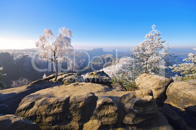 Elbsandsteingebirge im Winter Carolafelsen - Elbe sandstone mountains in winter, Carolarock