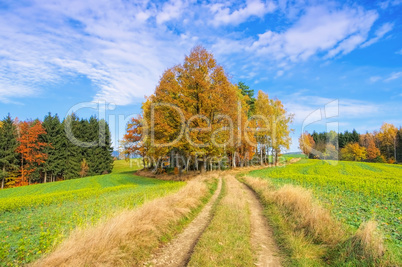 Elbsandsteingebirge Wanderweg - hiking track in Elbe Sandstone Mountains