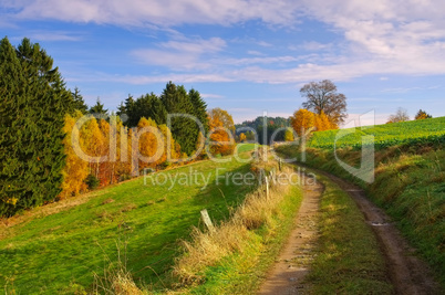 Elbsandsteingebirge Wanderweg - hiking track in Elbe Sandstone Mountains