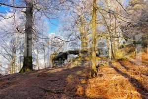 Wanderweg im Elbsandsteingebirge - Hiking trail in the Elbe sandstone mountains