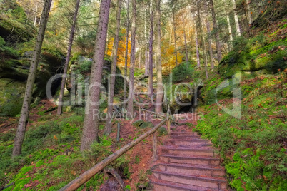 Wanderweg im Elbsandsteingebirge - Hiking trail in the Elbe sandstone mountains