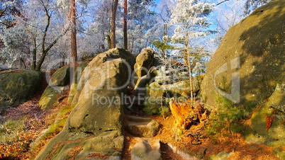 Wanderweg im Elbsandsteingebirge - Hiking trail in the Elbe sandstone mountains