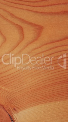 Larch wood background