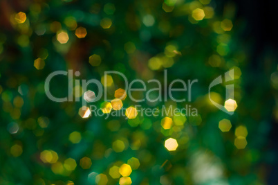 Blurred background Christmas tree