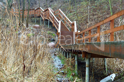 wooden staircase on the shore