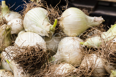 Zwiebeln auf dem Markt, onions on a market