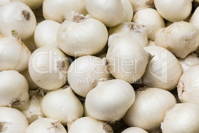 Zwiebeln auf dem Markt, onions on a market