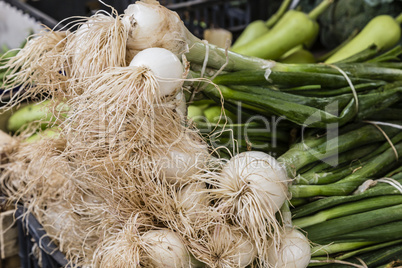 Lauchzwiebeln auf dem Markt, spring onions on the market